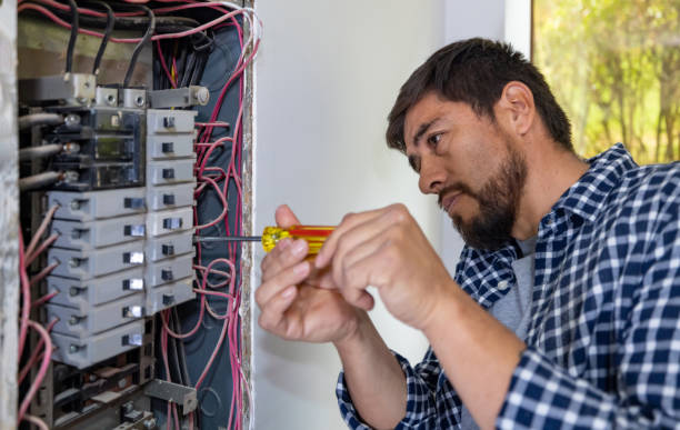 Best Surge Protection Installation  in Mertzon, TX